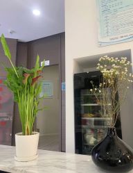 -上海漾颜医疗美容