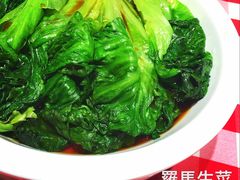 罗马生菜-西贝(上海我格广场店)