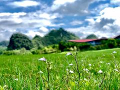-南宁花花大世界景区