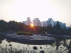 -聚龙山公园