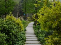 -广州市石门国家森林公园