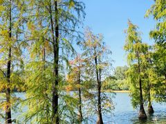 -南国桃园旅游度假区