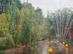 -湘力力小院·鱼汤泡饭(枫林路店)