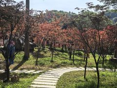 -广州市帽峰山景区