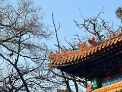 -北京国子监胡同