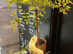 -Dogi&kiki Coffee(中心商务大厦店)