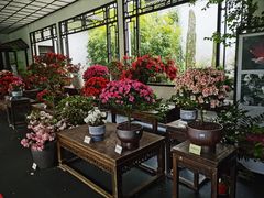-杭州植物园