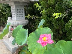 -博山正觉寺