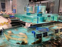 -福鼎国际大酒店-中餐厅