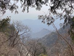 -北京鹫峰国家森林公园