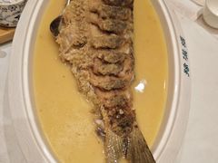 -豫满楼(正光路店)