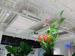 -张一元茶庄(望京店)