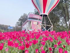 -铁山坪森林公园