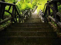 -汤旺河林海奇石景区
