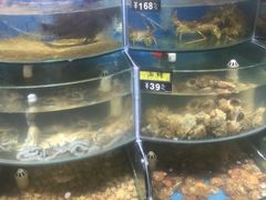 -蟹谢蒸鲜自助餐厅