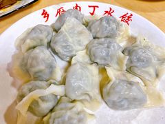 桑芽饺子-乡府肉丁水饺(环山路店)