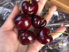 -东方鼎信农副产品交易中心