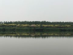 -西青郊野公园