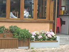 -木王宴语·野生鲜菌火锅(玉河店)