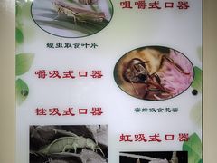 -上海昆虫博物馆