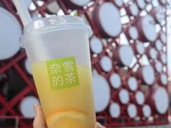 -奈雪的茶(新奥购物中心PRO店)