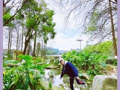 -桂林两江四湖景区