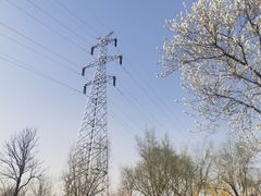 -永定河休闲森林公园