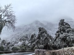 -黄山风景区