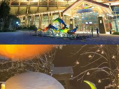 -长白山万达国际度假区