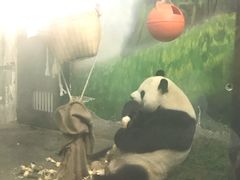 -无锡动物园·太湖欢乐园