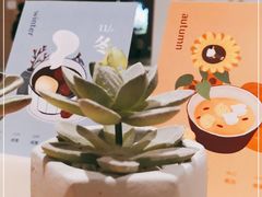 -炖物24章·顺时轻养茶(黄龙店)