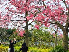 -风云岭森林公园