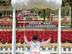 -盈香心动乐园