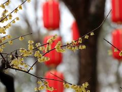 -瑞福园联谊餐室(茂名南路店)