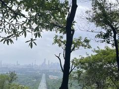 -火炉山森林公园