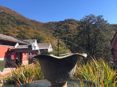 -潭柘寺景区