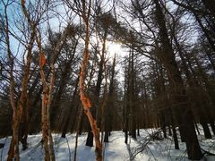 -白草畔自然风景区