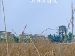 -永康森林公园