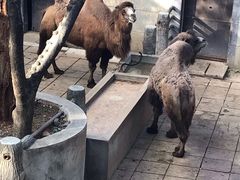 -昆明动物园