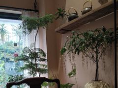 -蓝山四季西餐植物店