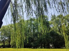 -北坞公园