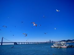 -星海湾跨海大桥