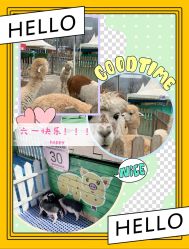 -萌宠亲子动物乐园(槐房万达店)