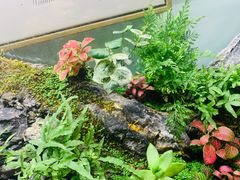 -Rabbit Cafe私房西餐甜点咖啡(栖霞路店)