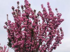 -古柏渡飞黄旅游区