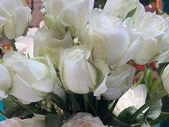 -BoBloom花店(晶耀前滩店)