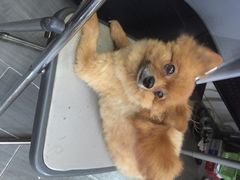 iphone_upload_pic-A+摄影