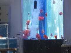 -金汤宴餐厅·粤菜(德云社店)