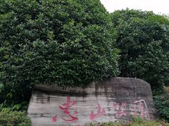 -忠山公园
