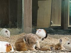 -天河城购物中心